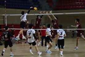 NBA重罚杰伦·布朗！公开怒喷裁判遭罚35万元，罚球差距引发热议