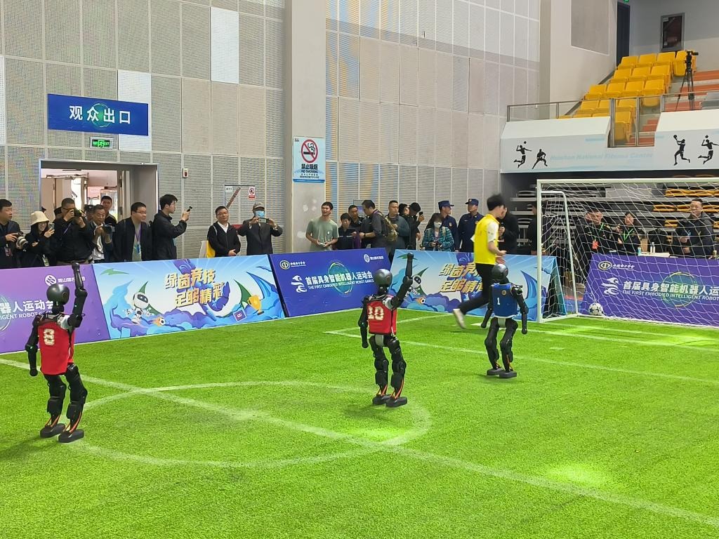 为什么棒球适合慢慢理解